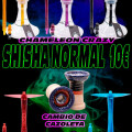 Shisha Normal