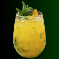 Mojito Mango
